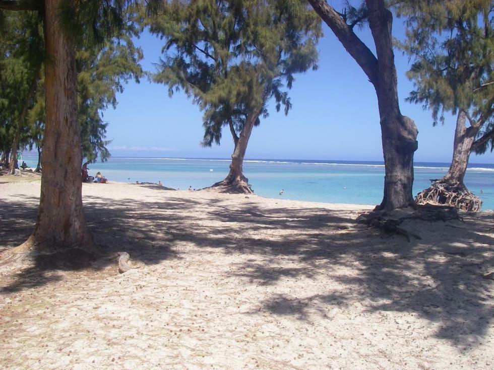 Le Saint Geran - A 3Mn A Pied De La Plage Et De Tous Commerces La Saline Le Bains Luaran gambar